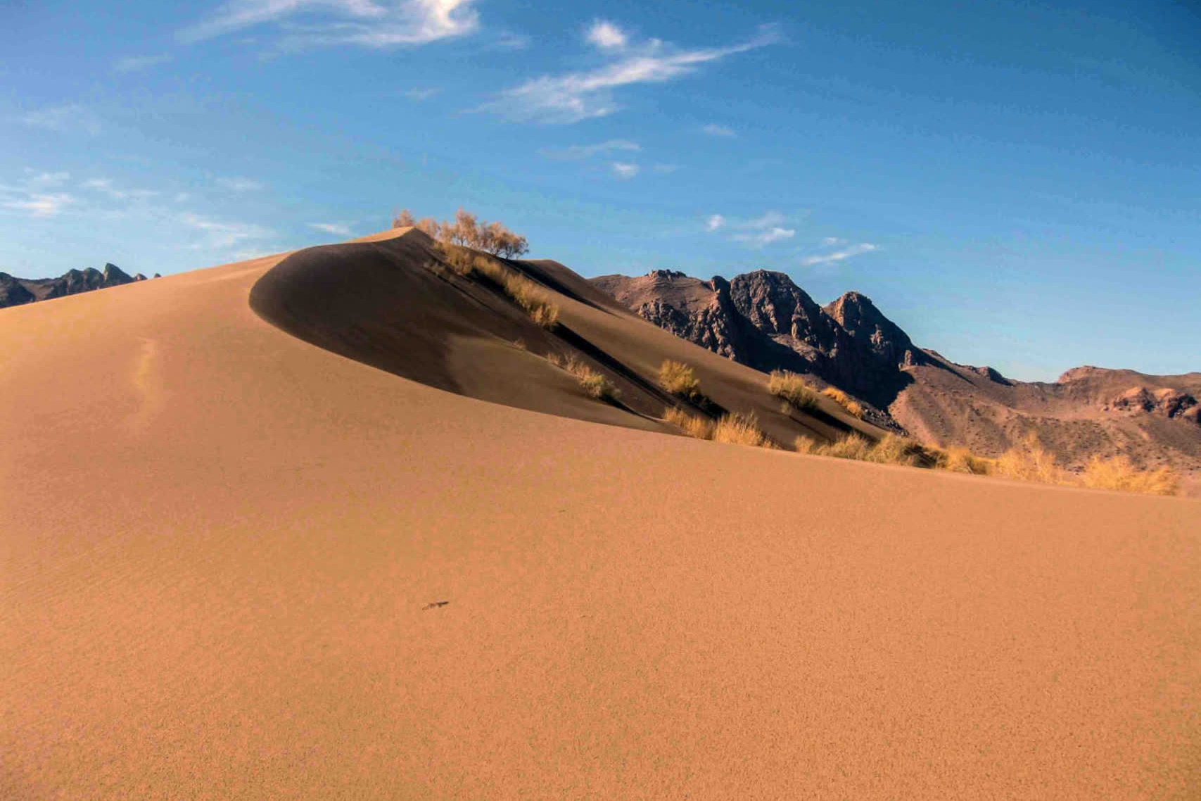 عکس‌های بیابان