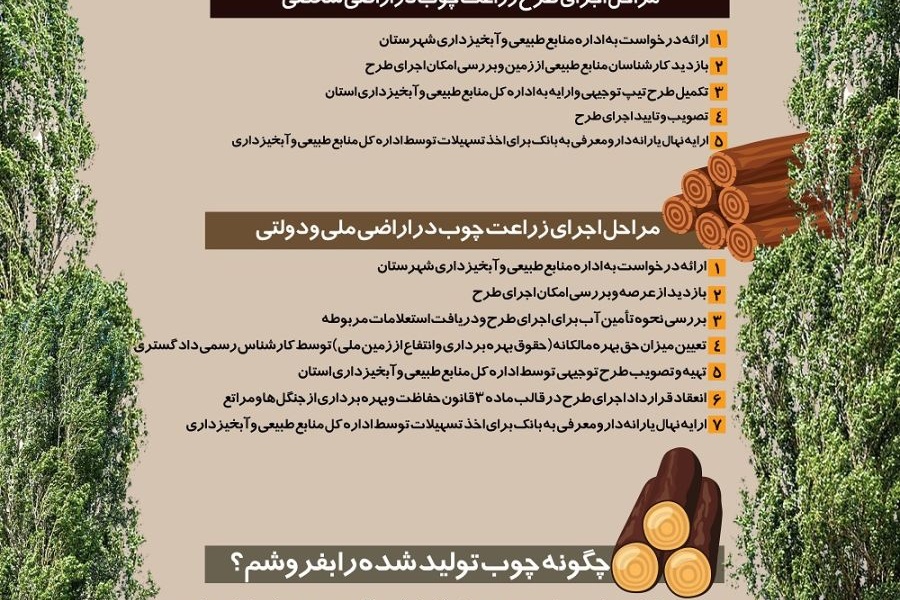 زراعت چوب (درخت بکاریم، چوب برداشت کنیم)