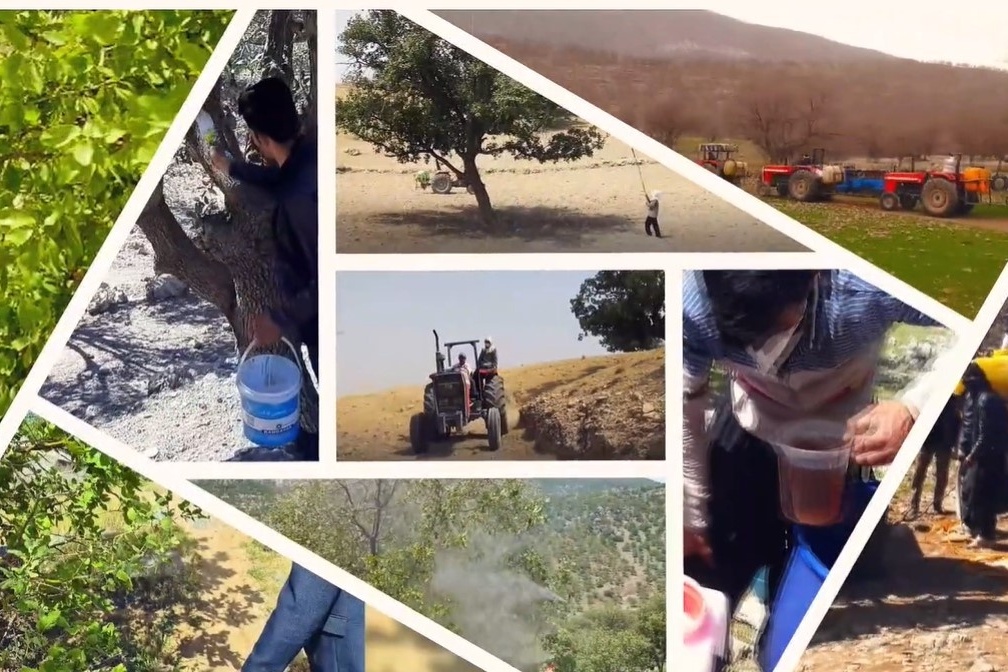 کلیپ معرفی گروه گیاهپزشکی دفتر حفاظت و حمایت منابع طبیعی