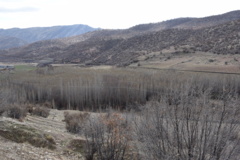 عکس‌های جنگل