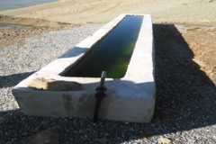 عکس‌های مرتع