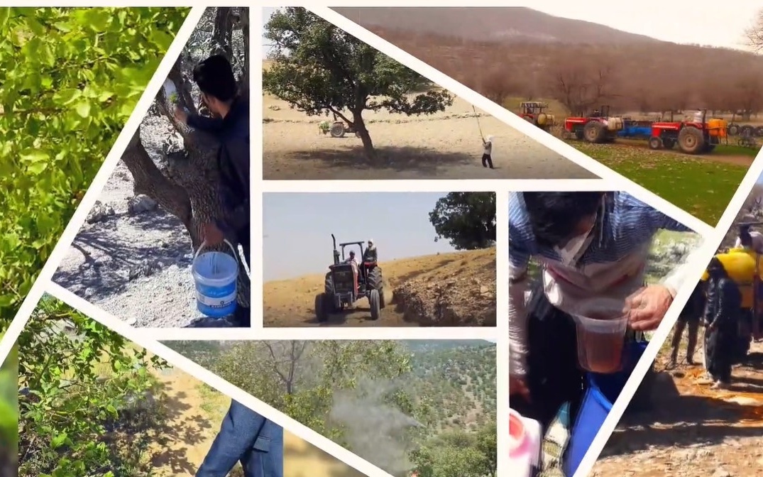 کلیپ معرفی گروه گیاهپزشکی دفتر حفاظت و حمایت منابع طبیعی