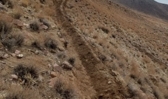 کرمان/ آغاز اجرای پروژه بیومکانیک در سطح ۲۰۰هکتار از مراتع سیرجان