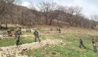 دستگیری 101 متخلف منابع طبیعی در کهگیلویه و بویراحمد