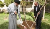 Trees and plants embellish living environments, restore climate: Ayatollah Khamenei