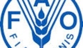 FRWO and FAO to Develop Cooperation