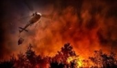 Fire in forests in northeastern Iran extinguished 