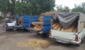 کشف 92 اصله چوب آلات قاچاق جنگلی در استان اردبیل