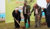 President Plants a Sapling 
