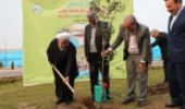 کاشت نهال به دست رئیس جمهور