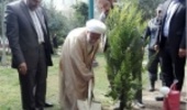 یک نهال توسط آیت الله جنتی غرس شد