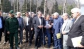 Minister of Agriculture Jahad Inaugurate Talesh Timber Cropping Project