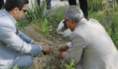 کاشت 19 نهال ایثار و شهادت به‌ یاد شهدای قشم 