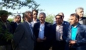 Six Trillion RLs to Be Spent on Forestry in Zagros provinces