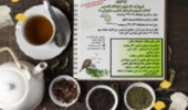 برگزاری  نمایشگاه تخصصی  گیاهان دارویی در بوستان گفت و گو