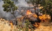 شناسایی ۱۵۰مکان مستعد آتش سوزی در لرستان