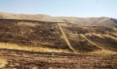 آتش سهل انگاری این بار دامان مراتع روستای بلوبین و قزلجه را گرفت