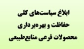 رییس سازمان جنگلها سیاستهای کلی حفاظت و بهرهبرداری از محصولات فرعی منابعطبیعی را ابلاغ کرد
