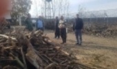 کشف و ضبط چوب آلات قاچاق در گلستان
