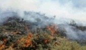 مصدومیت دو جنگلبان گلستانی در اطفای حریق منطقه قزلق آبپران شهرستان گالیکش