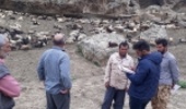 گلستان/پروژه مدیریت چرا و کنترل دام در مراتع قشلاقی استان آغاز گردید