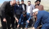 اعضای کلاس مجردهای حجت الاسلام شهاب مرادی 10هزار اصله درخت کاشتند