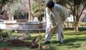 Head of the Judiciary Planted Tree on the Occasion of Natural Resources Week