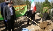 قم/اجرای دو هزار و 157 هکتار نهال‌کاری از مهرماه تا به امروز
