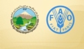 FRWO and FAO Sign MoU on Combat SDSs