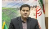 مدیرکل منابع طبیعی و آبخیزداری فارس: برخورد با متخلفان برداشت غیر مجاز بذر بَنه کوهی