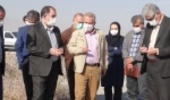 معاون آبخیزداری سازمان جنگل ها از اقدامات بیابان زدایی آذربایجان غربی بازدید کرد