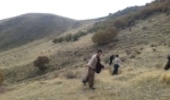 آغاز عملیات بیولوژیک آبخیزداری مراتع کردستان 