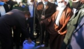 3535 نهال به یاد شهدای استان زنجان غرس شد