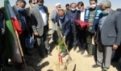 ایجاد پارک جنگلی20هکتاری در سرخه/ توزیع 5,1 میلیون نهال مثمر و غیرمثمر در سمنان
