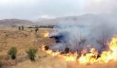 شناسایی نقاط بحرانی آتش‌سوزی در البرز
