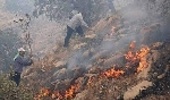 آتش سوزی جنگل های گچساران همچنان ادامه دارد/ منابع طبیعی کمک می خواهد