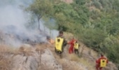آتش سوزی جنگل‌های گالیکش با هفت مصدوم اطفا شد
