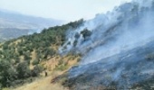 Reduction of 50% in Wildfires in Natural Resources Compared to the Same Period Last Year
