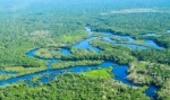Management of world’s forests must be water-centred