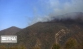 عملیات مهار آتش در جنگلهای کردکوی ادامه دارد