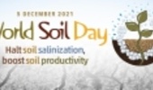 World Soil Day (WSD) is Held to Focus Attention on the Importance of Healthy Soil 