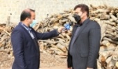  کشف بیش از 100 تن چوب جنگلی قاچاق در اراضی جنگلی فارس
