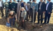 اجرای مراسم نهالکاری در ایلام با حضور معاون امور جنگل