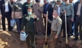 ایلام/ سه میلیون اصله نهال در طرح پویش “ملی ایران سبز” در ایلام کاشت می شود