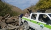 کشف 521 مترمکعب چوب قاچاق در کردستان /مشارکت دوستداران طبیعت در پویش مردمی بذرکاری جنگل ها