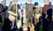 گلستان/ آغاز پویش مردمی "هر ایرانی یک درخت" در گنبدکاووس