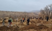 آغاز پویش نهالکاری در استان ایلام همزمان با سراسر کشور