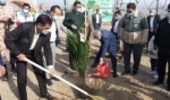 سمنان/غرس&quot; نهال ایثار&quot; به یاد شهدا به مناسبت هفته منابع طبیعی