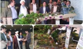 نخستین ماکت تخصصی گیاه پزشکی در حوزه منابع طبیعی کشور در شهرکرد رونمایی شد