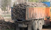آذربایجان شرقی/ توقیف ۱۷ تن بار قاچاق چوب در تبریز/ با متخلفان مماشات نمی‌کنیم